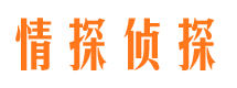 定海侦探社